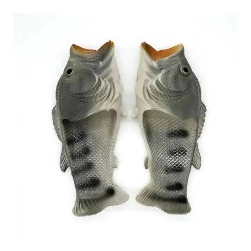 灰色鱼 灰色鱼