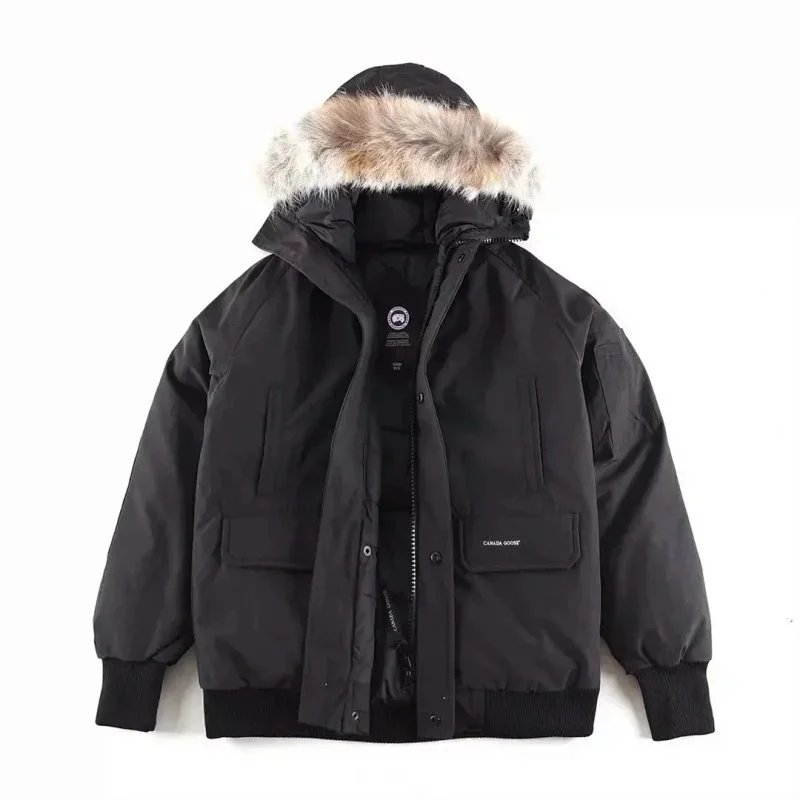 26 26