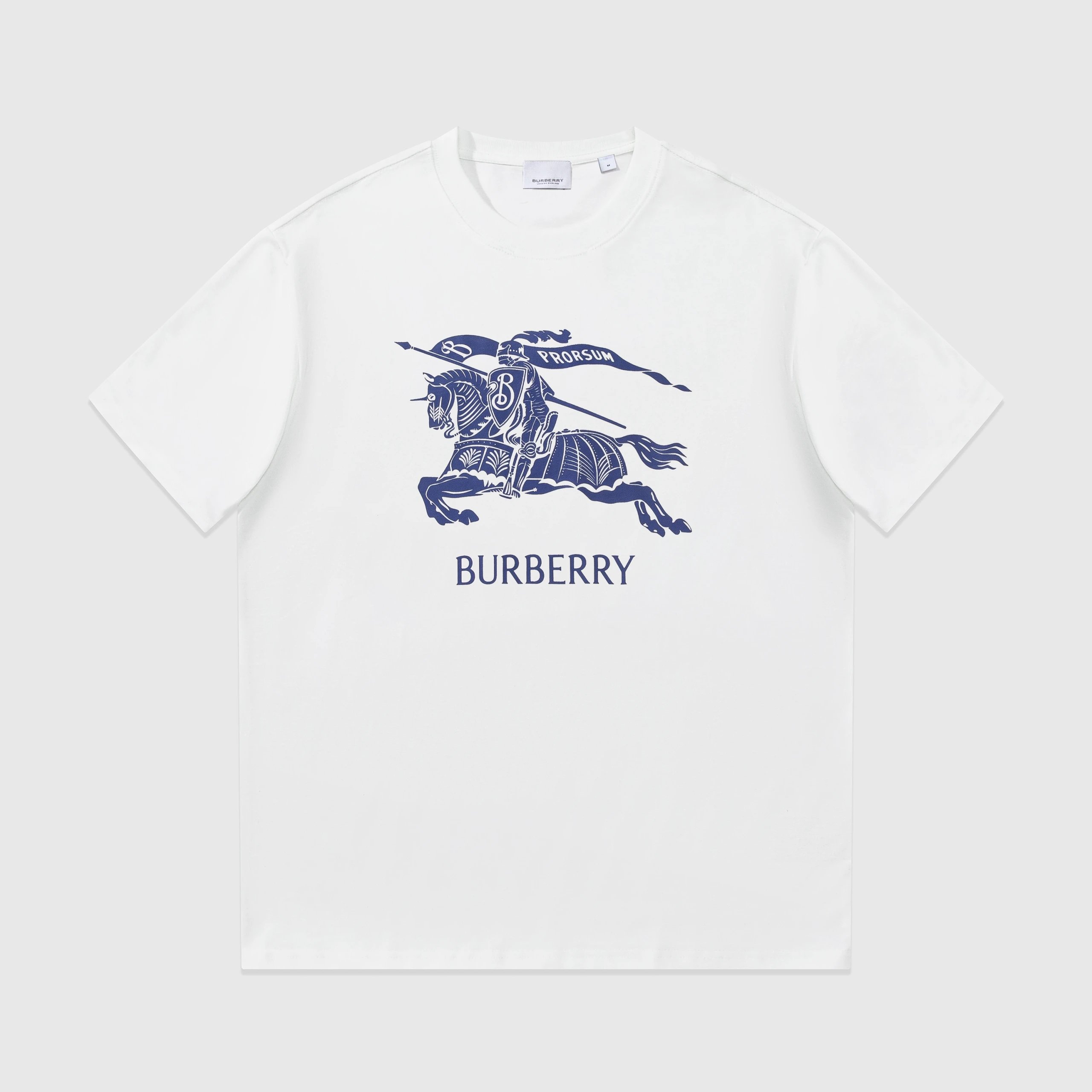 31 31