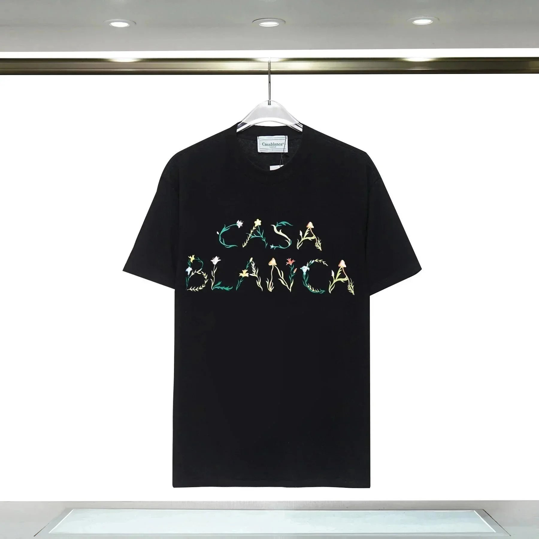 31 31